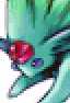 carbuncle